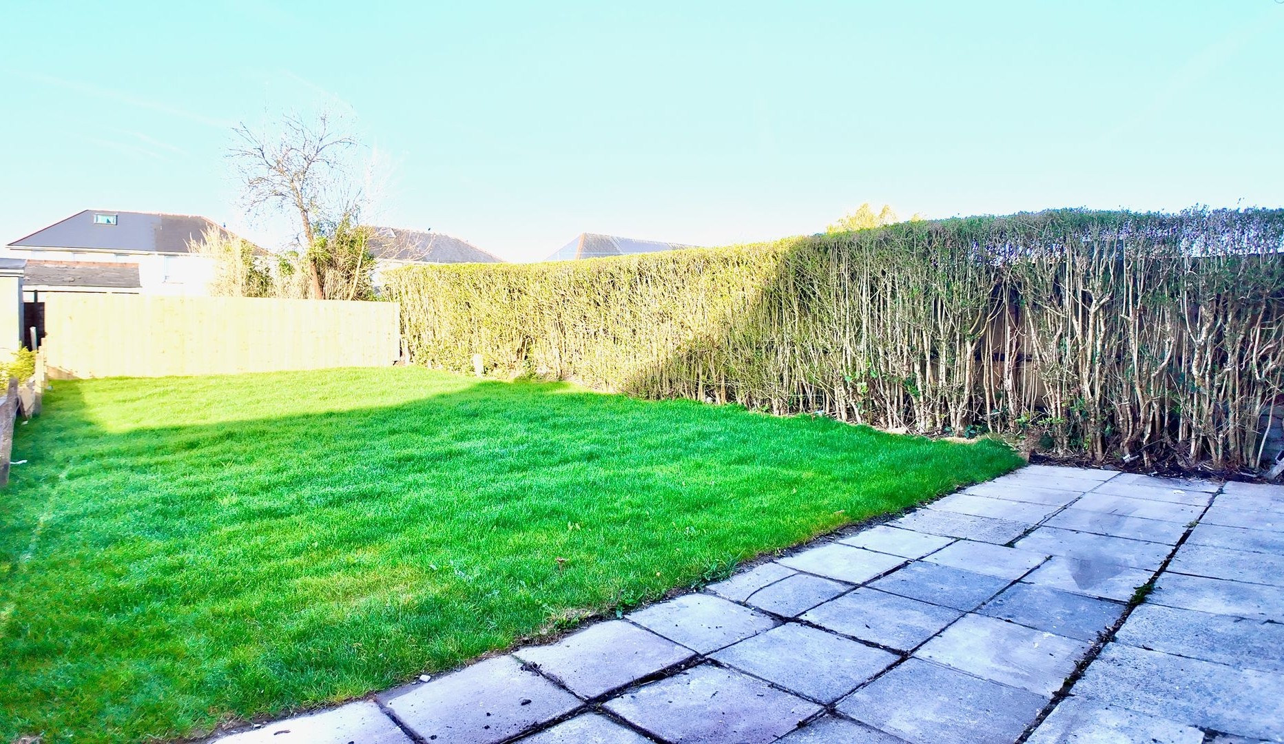 Garden after renovation